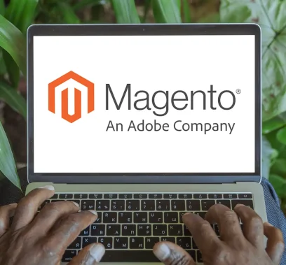 Preview of the Magento Multisite & marketing project